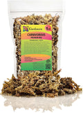 Gardenera Sphagnum Moss Potting Mix for Carnivorous Plants, Moss and Perlite Blend for Potting Venus Fly Traps, Sarracenia, Pitcher Plants - 75% Sphagnum Moss + 25% Perlite - Made in USA - 1 Quart
