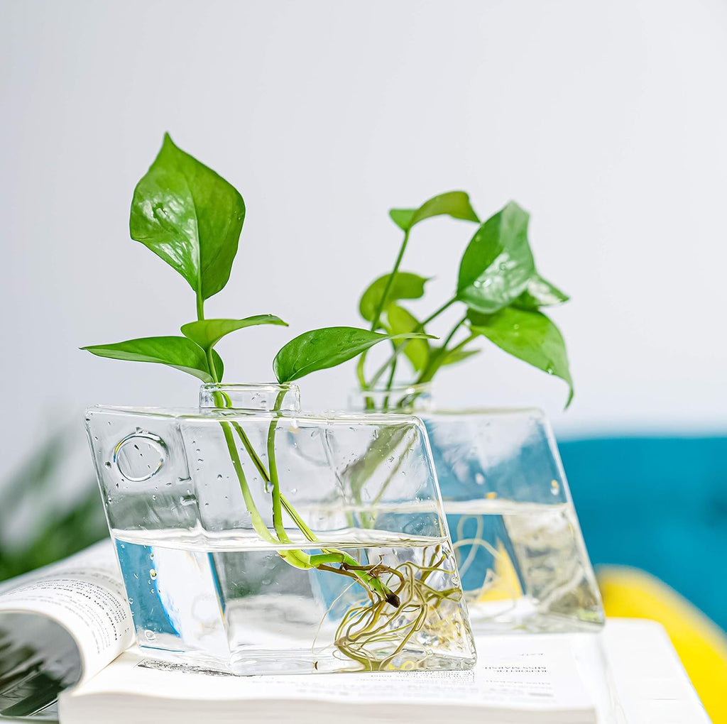 Kingbuy Wall Planter for Indoor Plant Pathos Hydroponic Succulent Hanging Terrarium Glass Vase Air Plant Holder Diamond Home Office Garden Decor, 2 Set