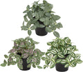 Hollyone Fake Plants 3 Packs Artificial Plants Indoor Faux Plants with Black Plastic Pot Small Fake Potted Plant for Home Aesthetic Living Room Bathroom Desk Shelf Office Decor