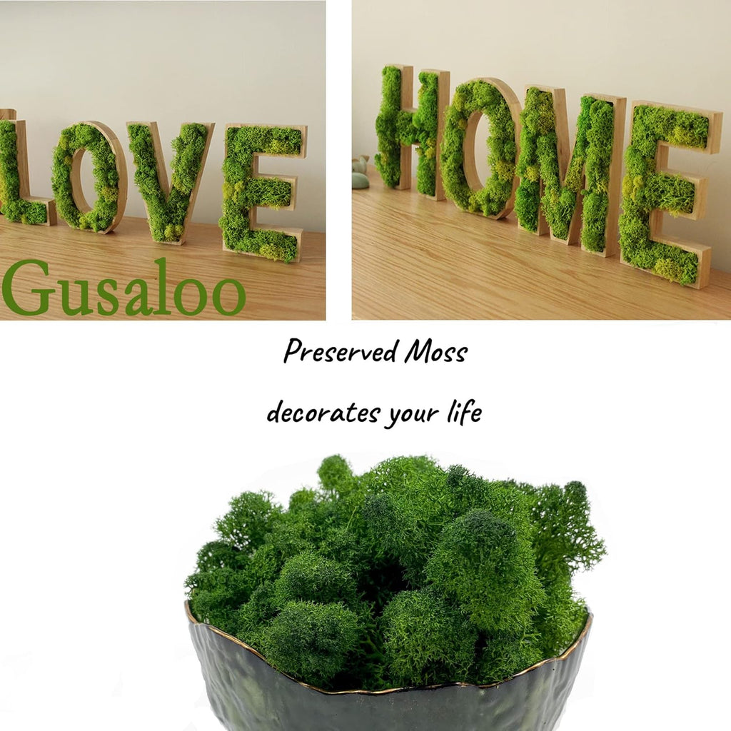 Moss Preserved Moss for Potted Plants Natural Fresh Green Reindeer Moss for Craft Arts Floral Wall Decor Decor Wedding Centerpieces Garden Artificial Terrariums Decoration for Christmas(Green) 3.5OZ