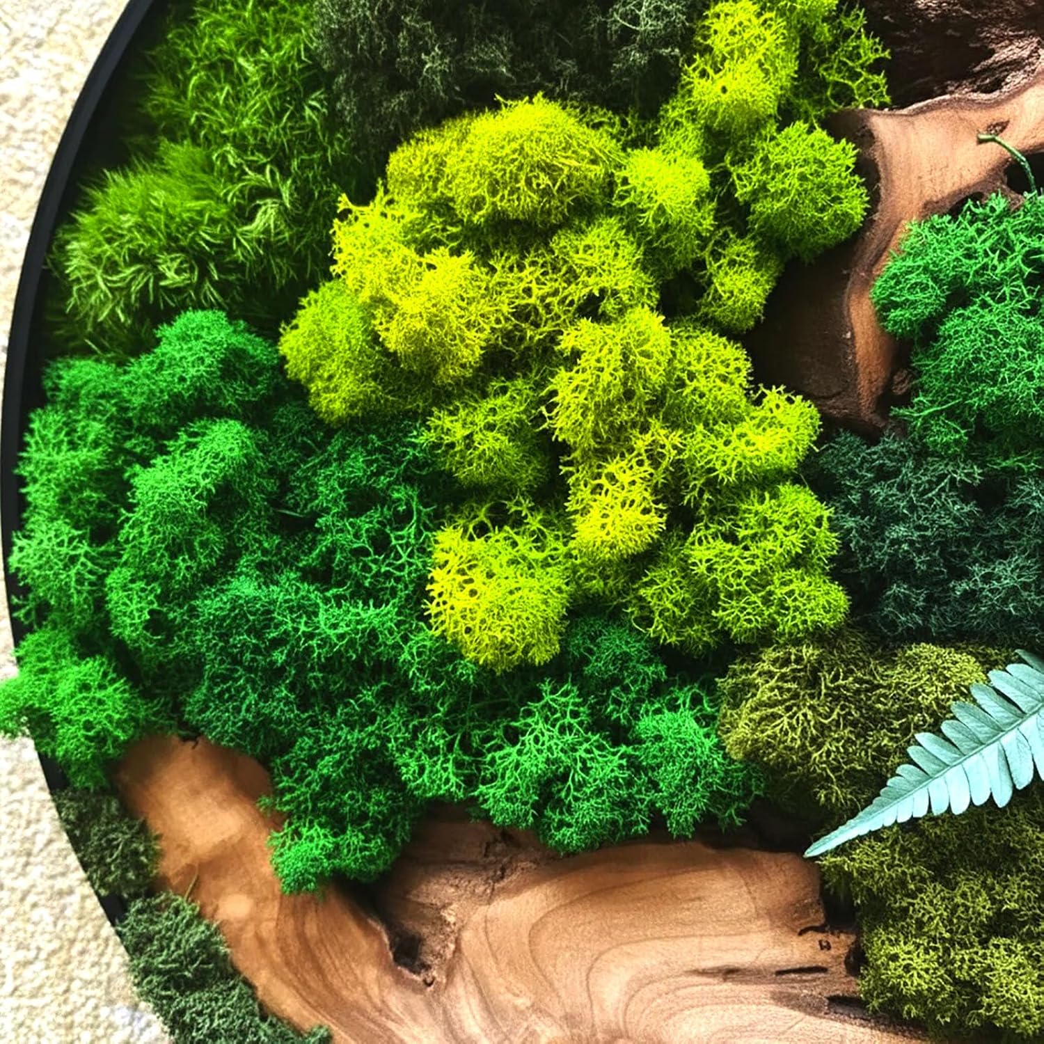 vadmepiop Natural Preserved Moss Wall Art with Real Wood Frame, Handcrafted Maintenance-Free Moss Wall Panel for Home Decor, Office, Restaurant, Bar & Cafe (Round, 11.81in)