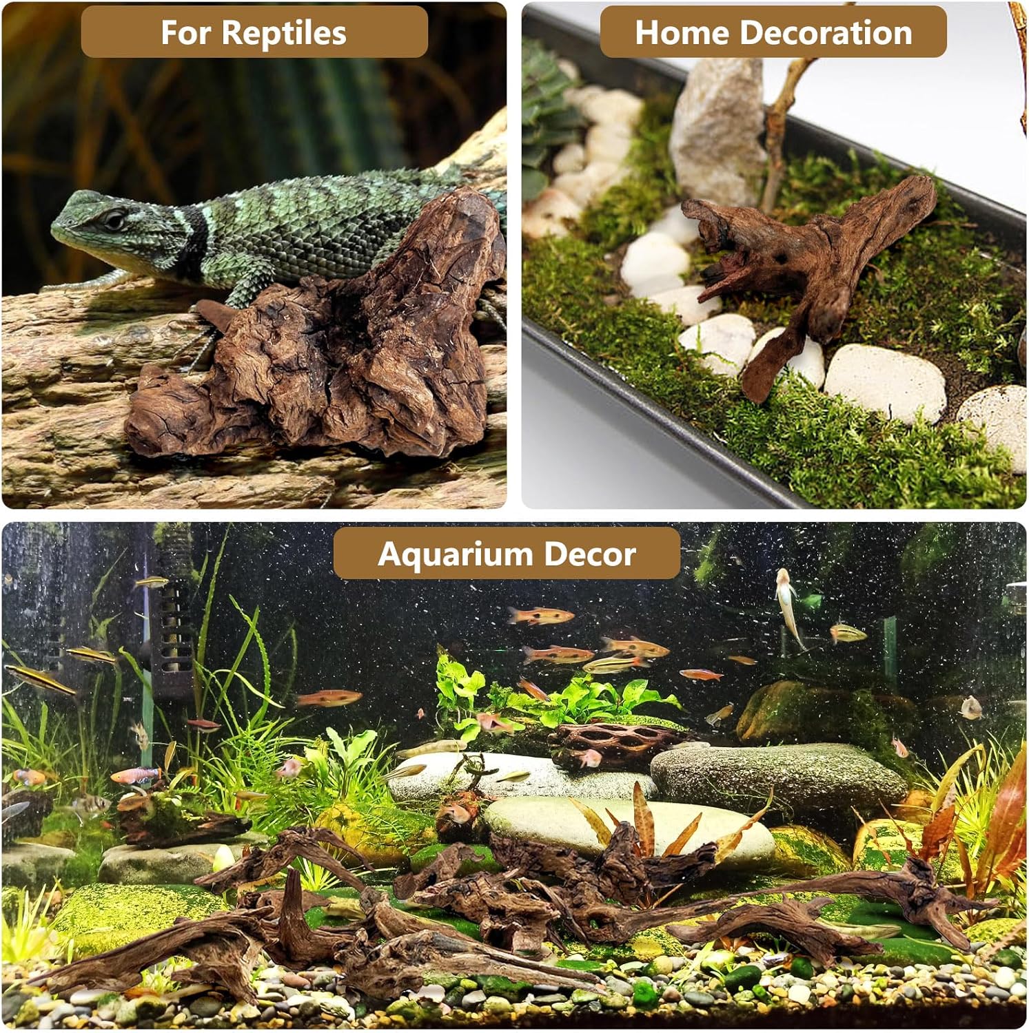 Tfwadmx Natural Small Coral Driftwood for Aquarium Decor 6 Pcs 4-5" Fish Tank Decorations Reptile Decor Assorted Driftwood Branch Reptile Tank Wood Decor