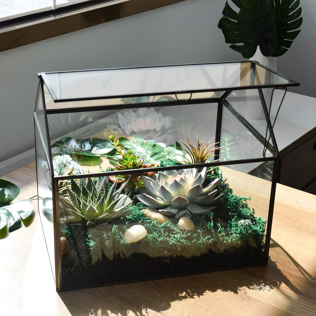 Black 1 Large Glass Plant Terrarium Kit with Lip Greenhouse for Succulents