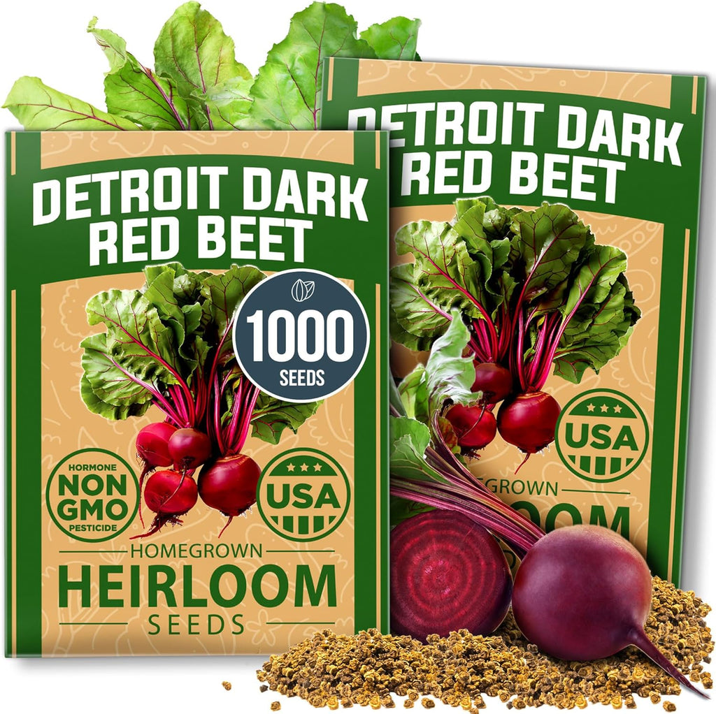 HOME GROWN Detroit Dark Red Beet Seeds 2 Pack(Beta vulgaris) 1000+ Heirloom Seeds with High Germination – Sweet,Nutrient-Rich Beets for Easy Planting in Garden Beds or Containers