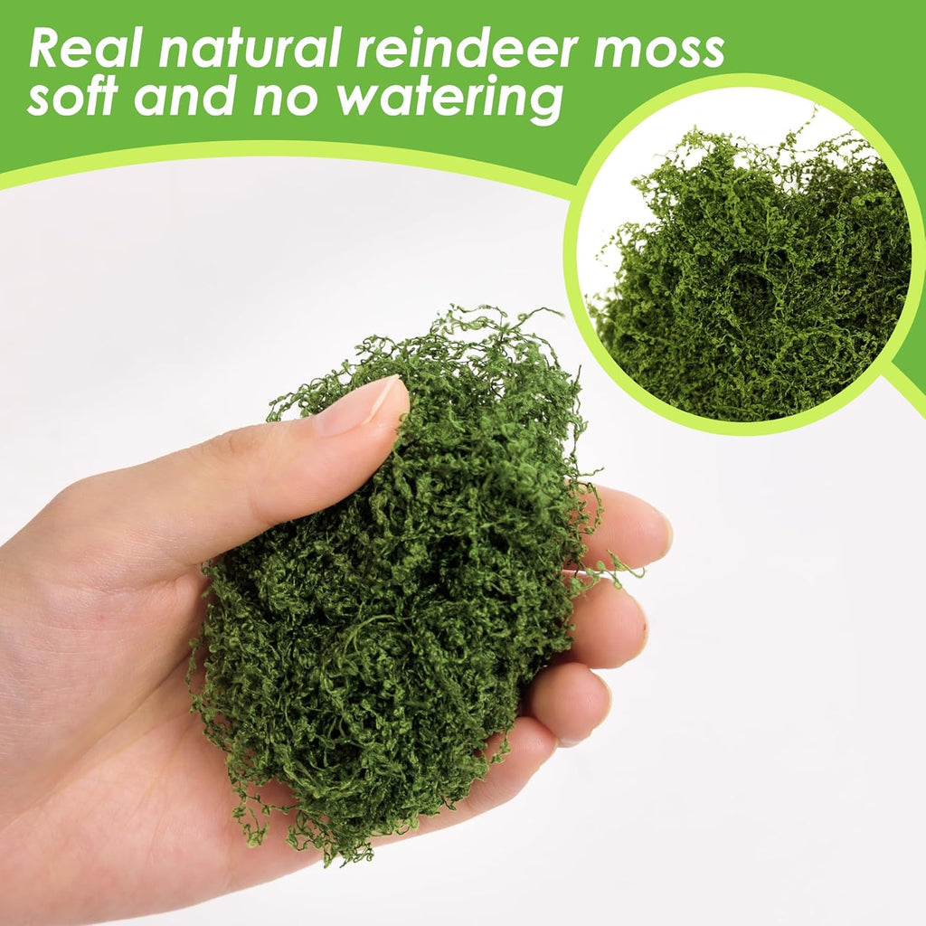 6 Colors Artificial Moss for Crafts, 21.16 OZ Fake Moss, Fake Green Moss for Plants Indoor, Craft Moss for DIY Decorative, Fairy Garden, Model Making, Walls Decor, Table Centerpieces, Wedding