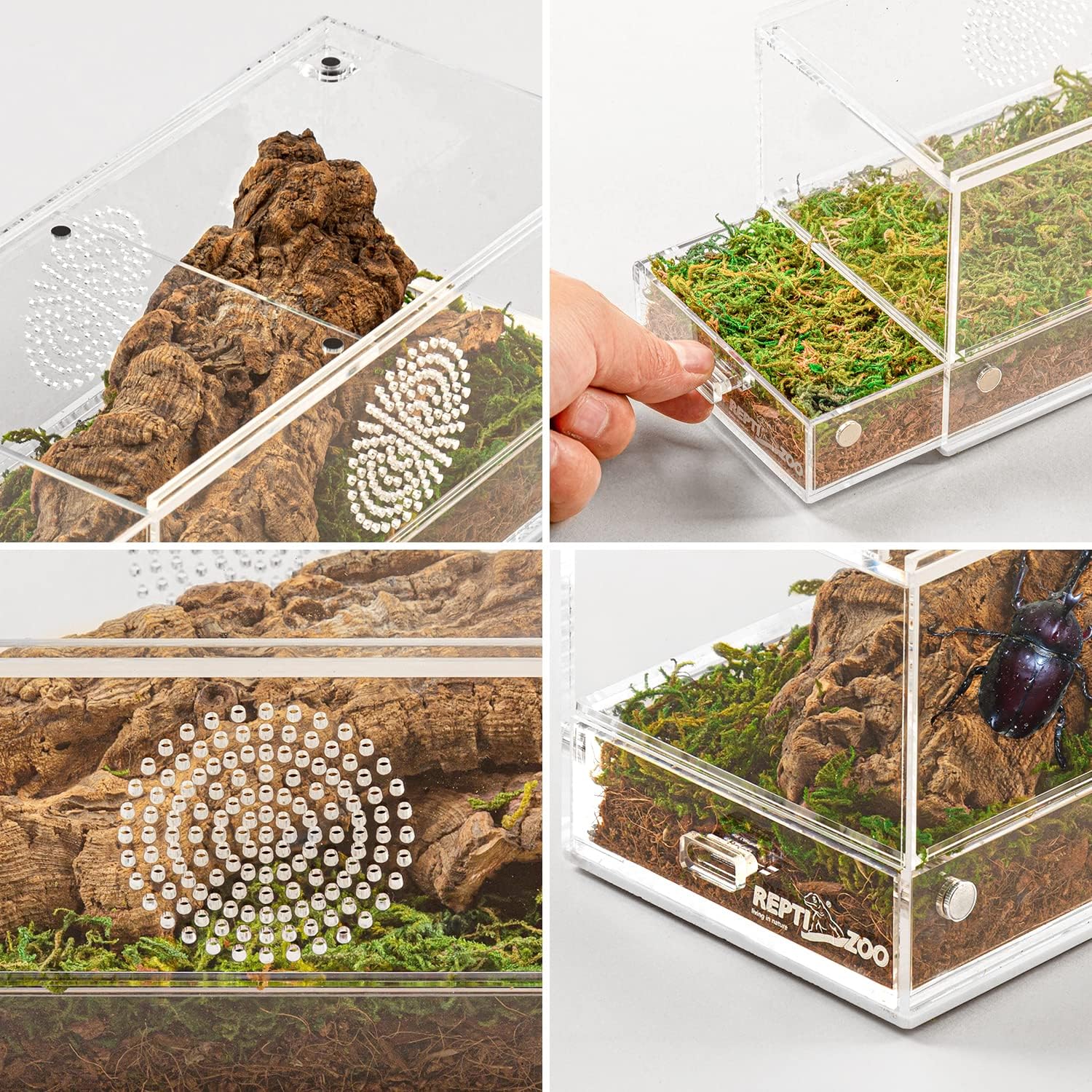 REPTI ZOO Magnetic Acrylic Reptile Terrarium 8" x 4" x 4", Transparent Tarantula Spider Enclosure Micro Breeding Box for Hermit Crab Snail Mantis Frog Insects