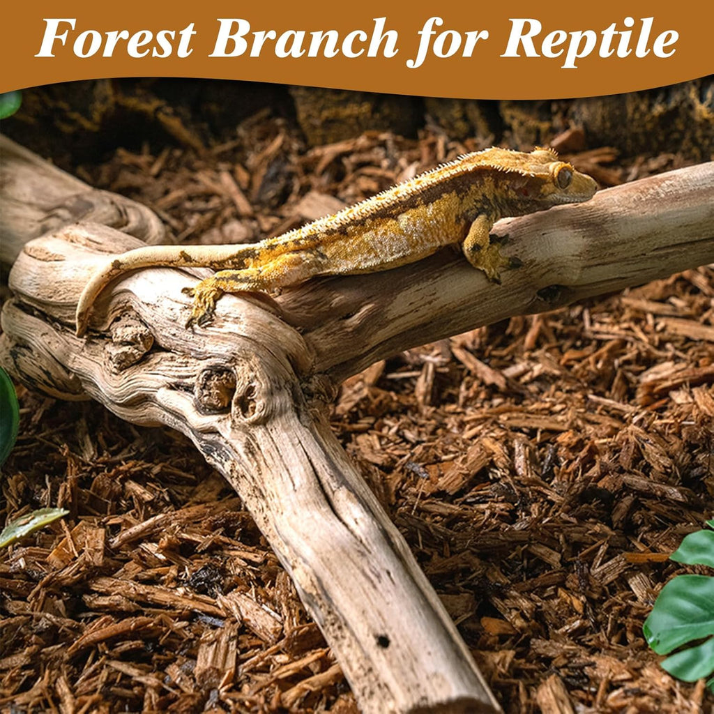 Reptile Branch Decor 2 Pack Snake Climbing Wood Branches Lizard Habitat Decorations Terrarium Natural Forest Tree Trunk Ornament for Bearded Dragon Geckos Chameleon Frog