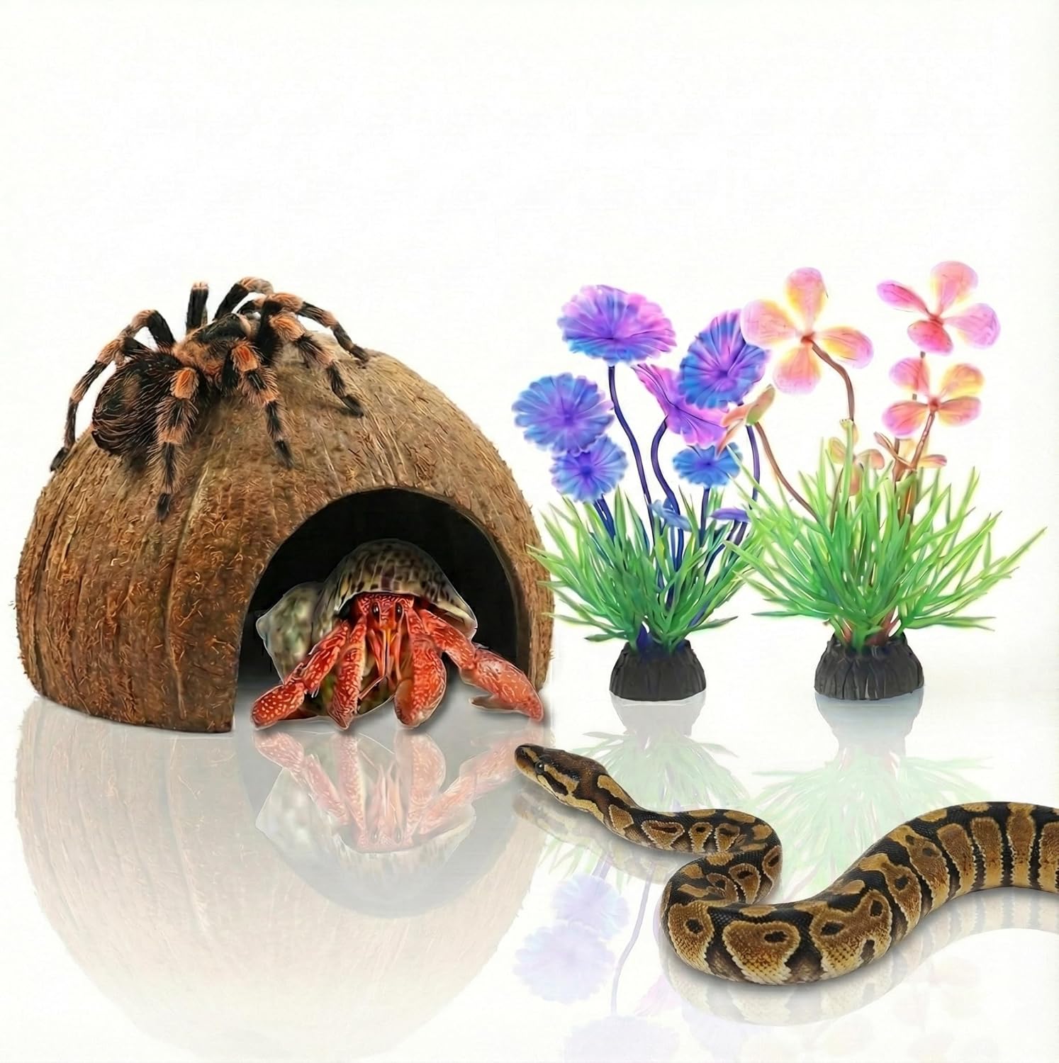 Natural Coconut Shell Hideout Cave, 5" Aquarium Fish & Reptile Hide Cave, Leopard Gecko Tank Accessories, Crested Geckos, Hermit Crabs, Spider, Snails & Small Lizards Climbing Toy & Decor
