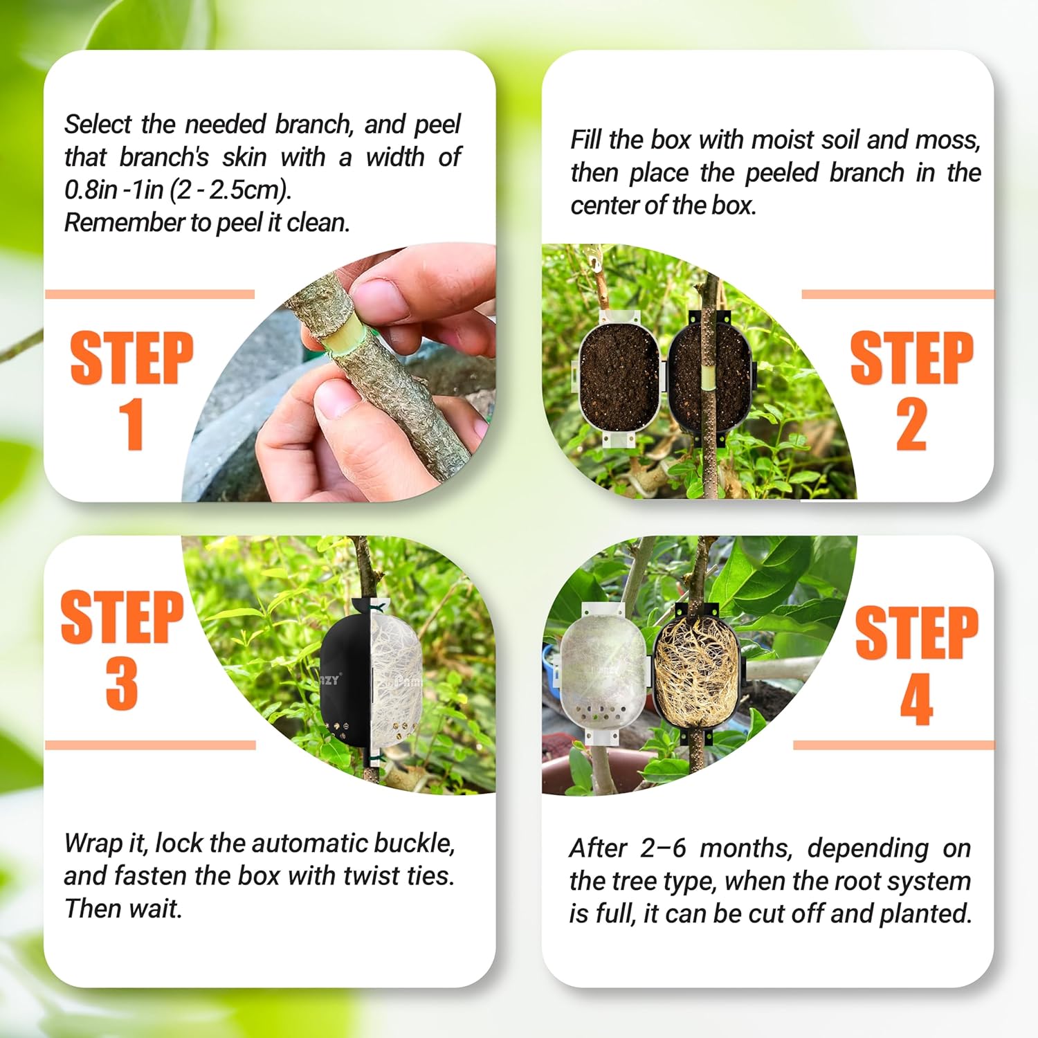 [Upgraded] 9Pcs Tree Root Growing Box with Drain Holes, Half Transparent Plant Rooting Propagation Ball & Metal Core Twist Ties, for Fast Propagation Plants (Size M)