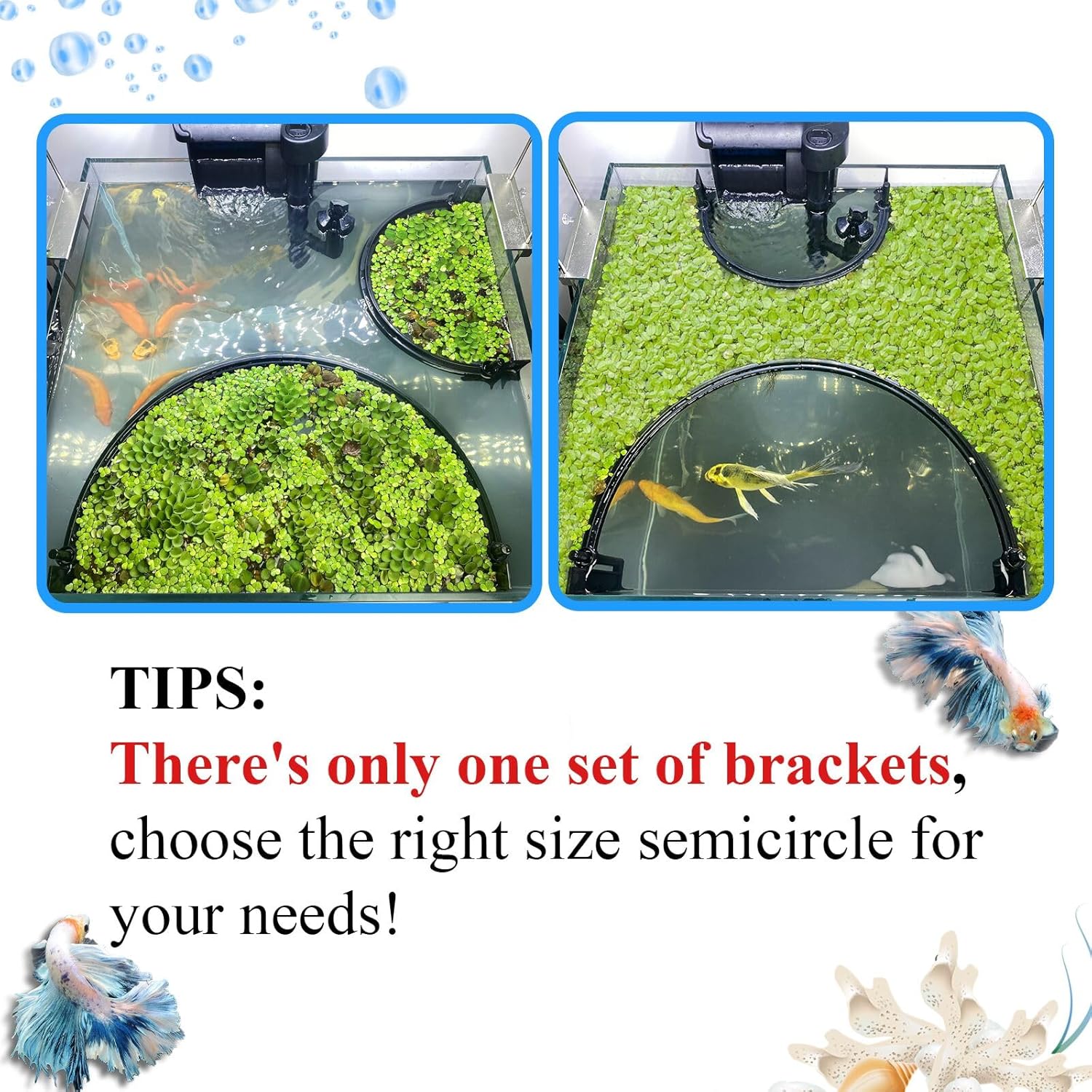 Floating Plant Corral for Aquarium, Fish Tank Accessories to Protects Duckweed from Filters, Automatically Adjusts Height According to Water Level, Suitable for All Duckweed and all aquariums(Style 2)