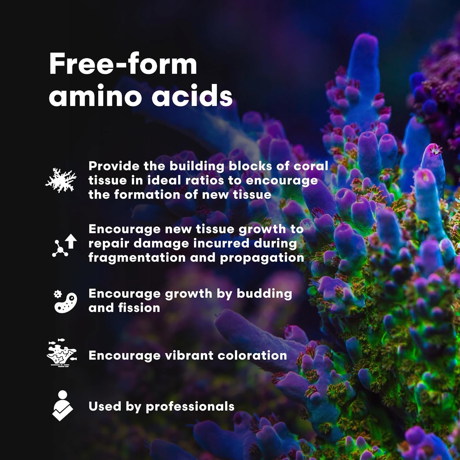 Brightwell Aquatics CoralAmino - Complex of Amino Acids for Corals - Coral Food for Aquarium Coral Growth - Saltwater Aquarium Treatments, 4.22 fl oz