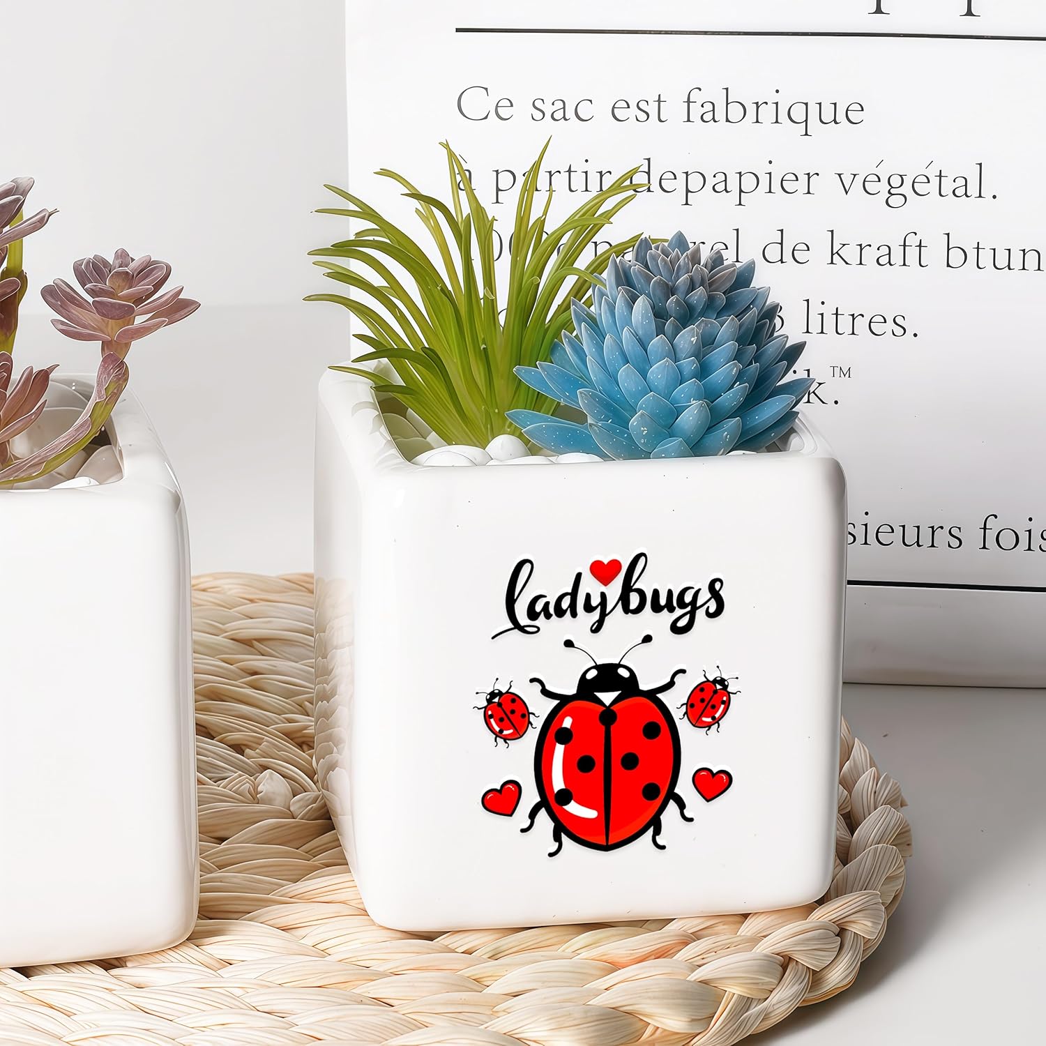 Ladybugs Succulent Planter Flower Plant Pot Small, Gifts for Women Teens Girls Kids, Ladybugs Lovers Themed Stuff Accessories Things Decor Merch, Home Office Table Desk Decoration!