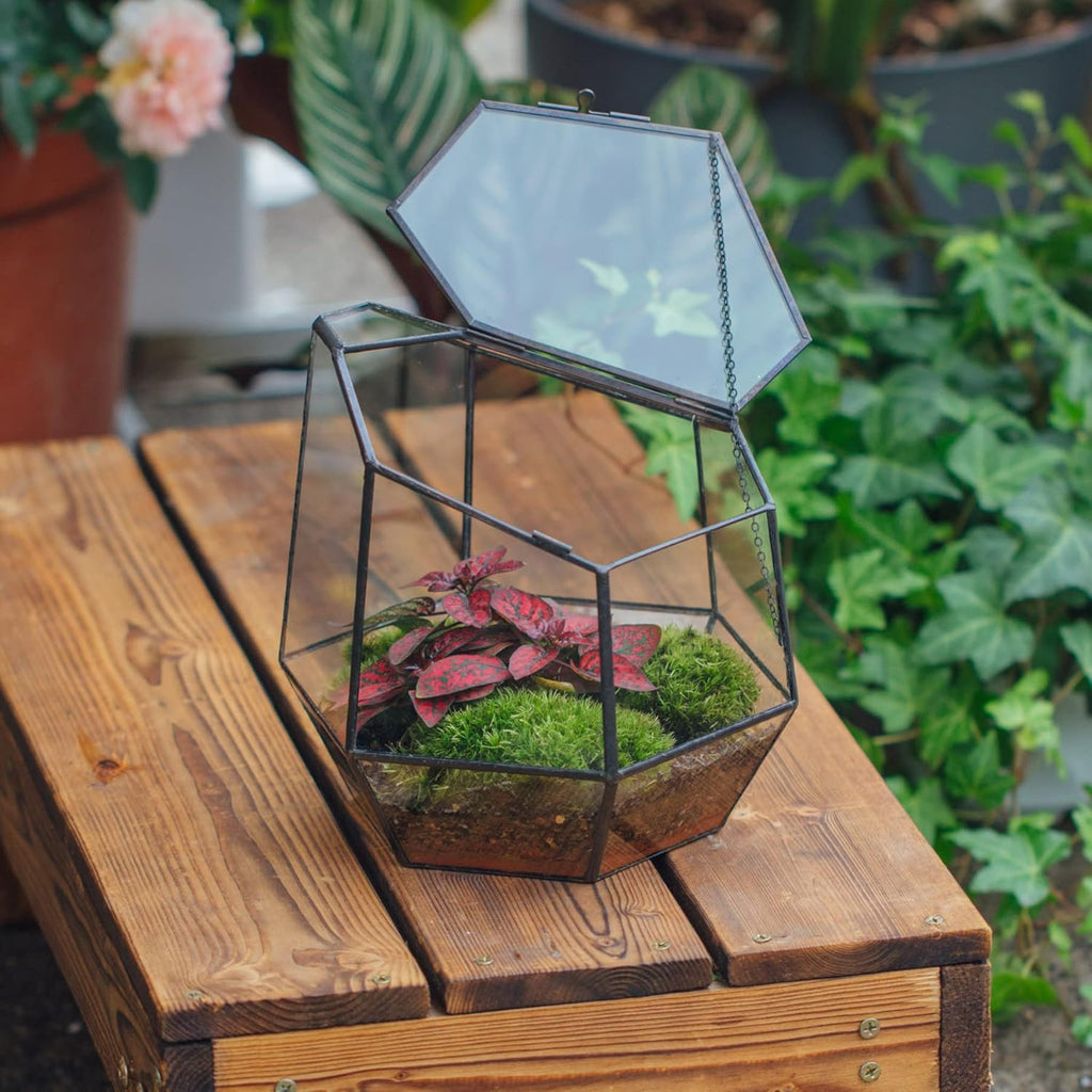 NCYP Handmade 7.5inches Small Close Geometric Terrarium with Door, Black Irregular Glass Planter, Modern Succulent Cacti Flower Pot, Home Garden Decor DIY Gift (Plants and Props NOT Included)
