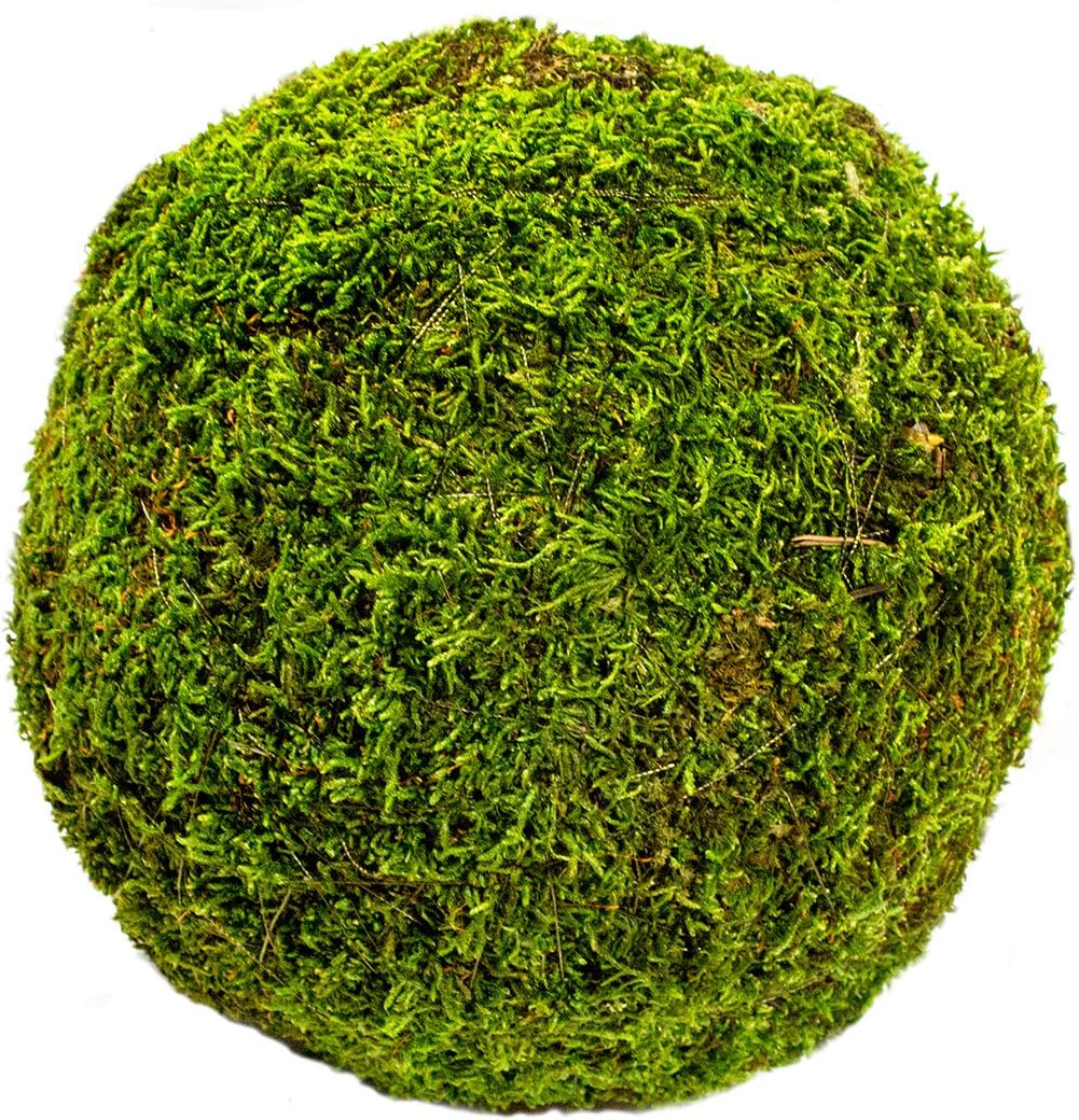 SuperMoss (21663) Moss Ball, Fresh Green, 8"