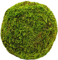SuperMoss (21663) Moss Ball, Fresh Green, 8"