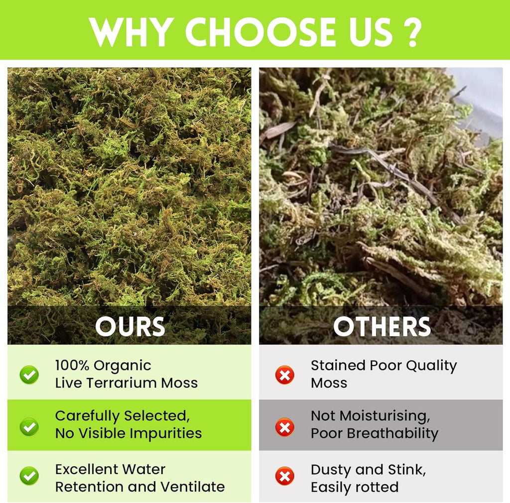 Riare 1.3LB Premium Sphagnum Moss for Reptiles- 50QT Natural Live Moss Reptile Moss Bedding for Terrarium, Hatching, Forest Sphagnum Moss Reptile Substrate for Snakes, Gecko, Turtles, Frogs, Leopard