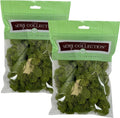 Quality Growers - Preserved Reindeer Moss - Moss for Crafts, Home Decor, Art, Design & DIY Projects - Non-Toxic - USA Made (Spring Green, Small, 2-Pack)