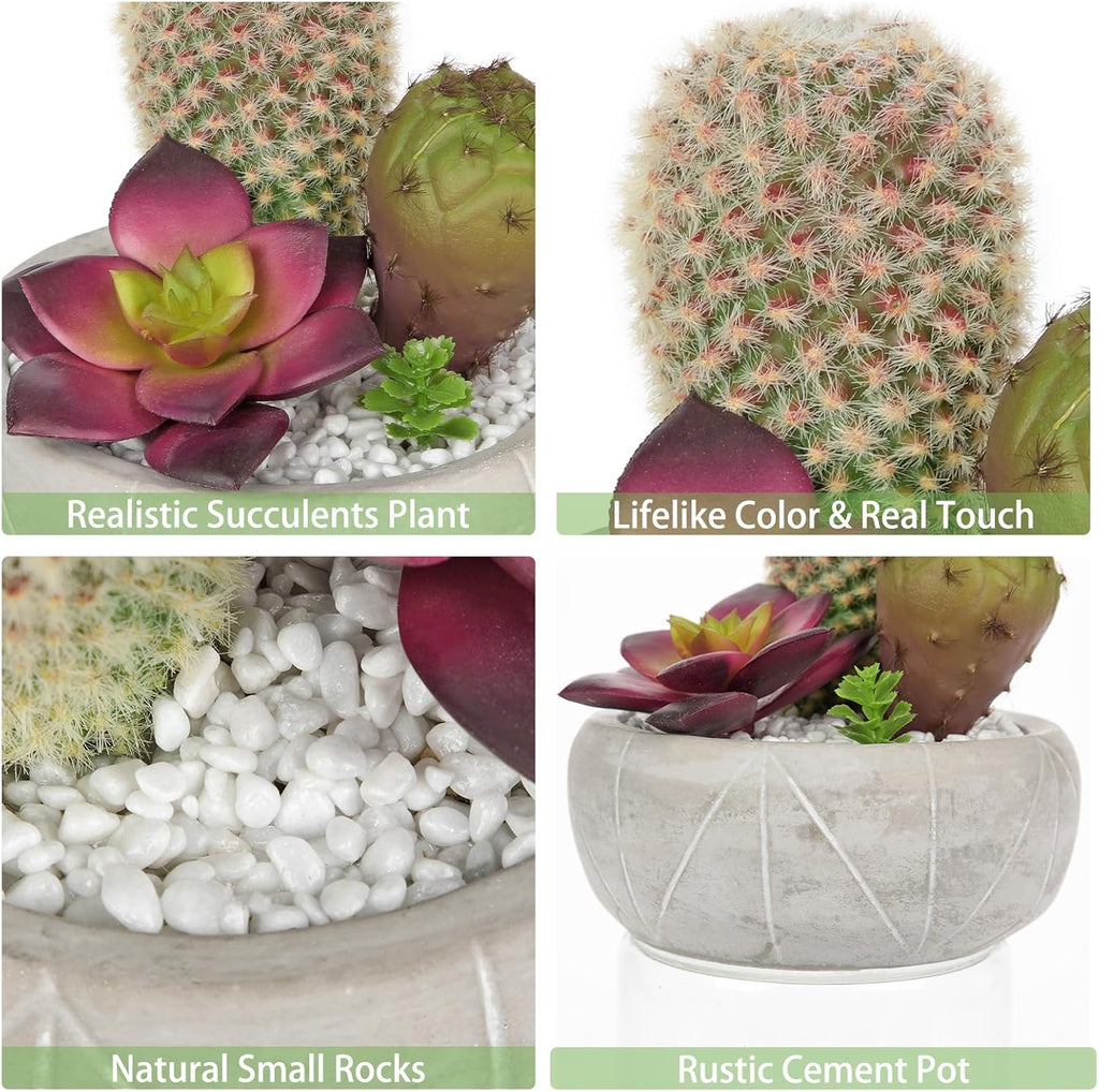 Artificial Cactus Plants Indoor, 5.5" Assorted Small Faux Purple Succulent in Pots Fake Potted Desk Plant with Concrete Bowl Succulents Artificial Cactus Decor for Home Office Bathroom Table Shelf