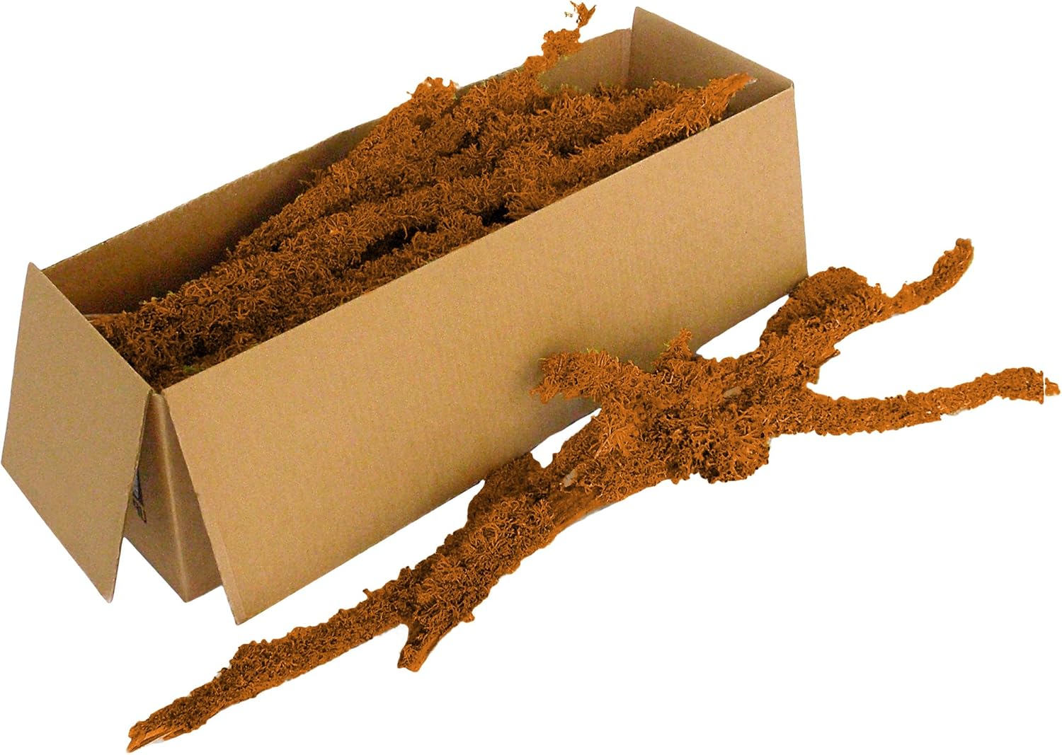 SuperMoss (23546 Lichen Parmelia (Branched), Orange, 5lbs