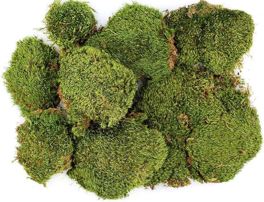 SuperMoss (21537) Mood Moss – Natural Moss for Home Decor, Terrariums, Floral Arrangements, and Craft Projects, 1,564 cu in, Dried