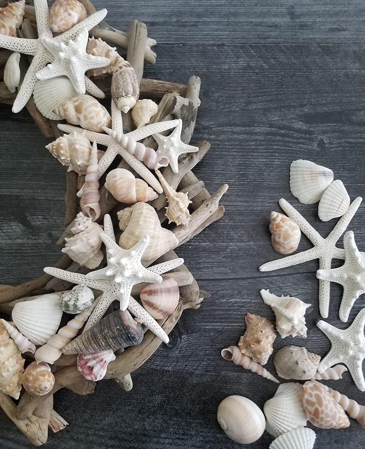 Medium Sized Shells in a Delightful Mix of Whites, Tans and Pinks | 2 Pounds | Perfect for Crafts, Beach Home Decor, Weddings, Vase Filler and Classrooms