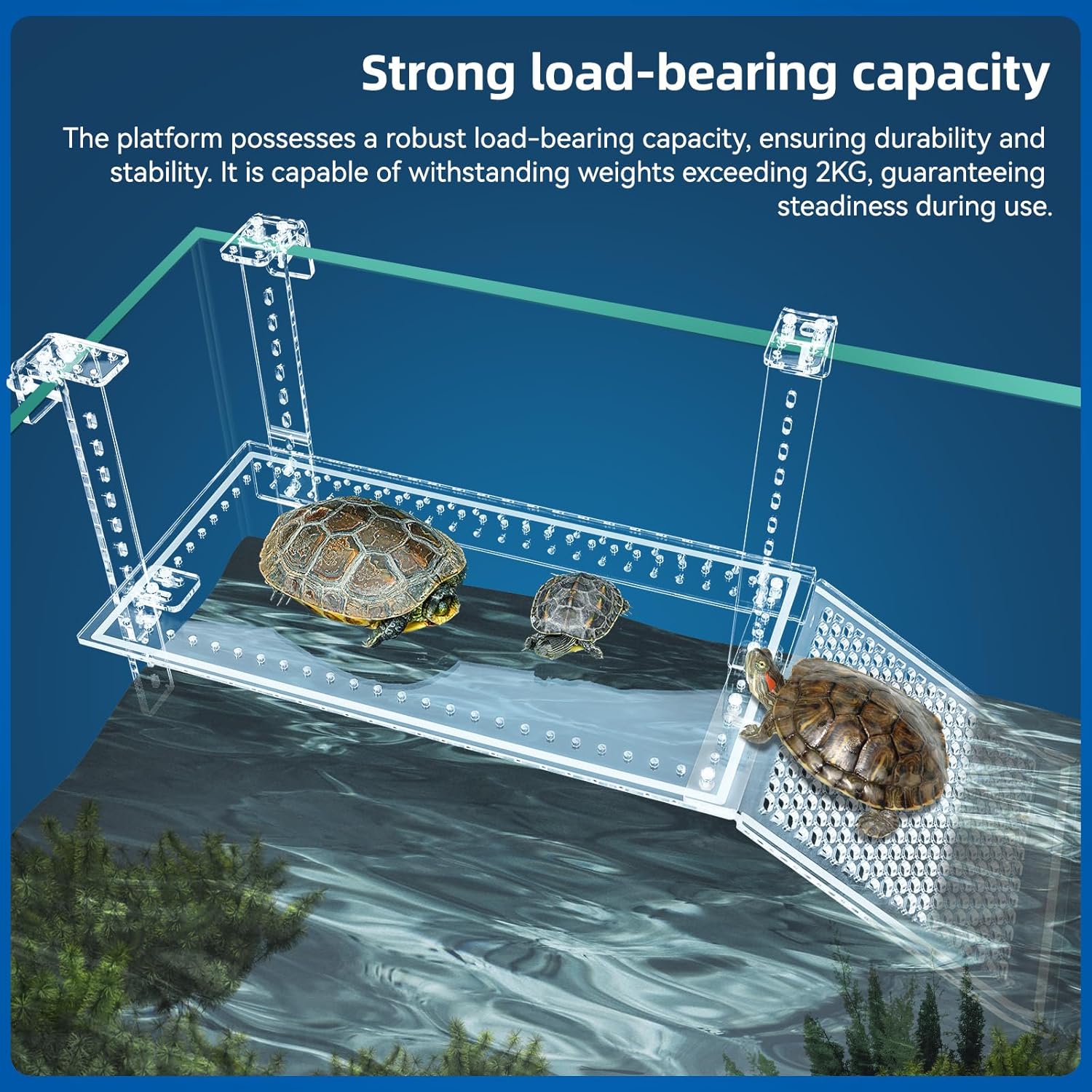 Turtle Docks Large Adjustable Turtle Basking Platform for Aquatic Turtles, Design for Tanks 0.3"-2" Thick, Stable Construction,Slip-Resistant Ramp,Adjustable Ramp Direction (15'' x 8.1'')
