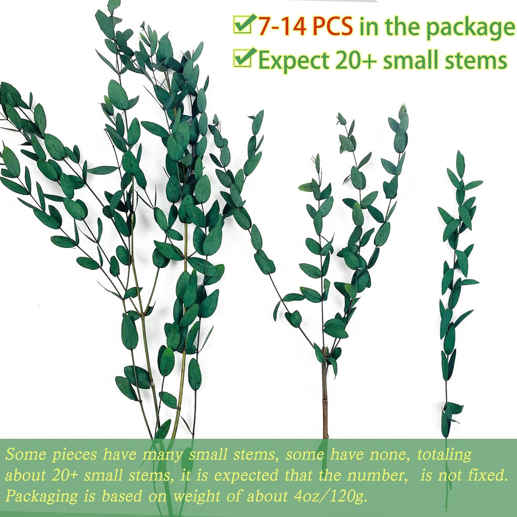 20+ Small Branches Dried Eucalyptus Preserved Greenery Stems, 7-14 Pcs 17'' 4oz Natural Real Eucalyptus Bundles for Shower, Green Leaves Plant for Arrangement, Wedding, Home, Office Decor