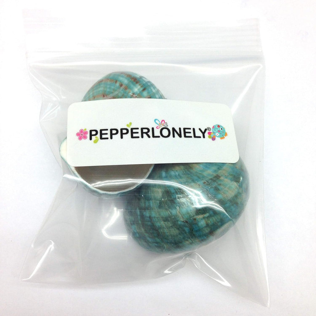 PEPPERLONELY 2 PC Natural Large Hermit Crab Shells, Green Blue Gade Turbo, 2-1/2 Inch ~ 3 Inch