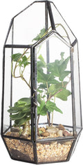 NCYP Small 5.1" x 5.1" x 8.66" Irregular Geometric Glass Terrarium Planter with Door - Home Tabletop Display Container Pot for Succulents, Cacti - Indoor Clear Decor, Black (No Plants)