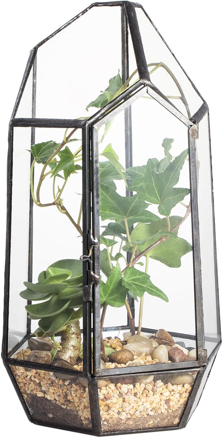 NCYP Small 5.1" x 5.1" x 8.66" Irregular Geometric Glass Terrarium Planter with Door - Home Tabletop Display Container Pot for Succulents, Cacti - Indoor Clear Decor, Black (No Plants)