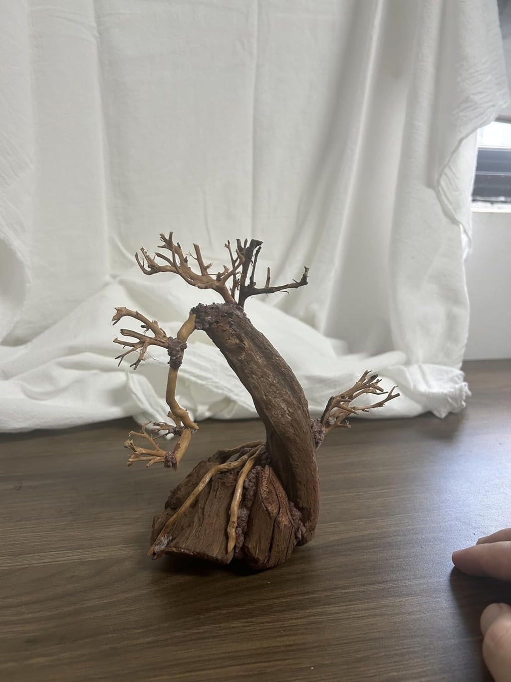 Bonsai Aquarium Driftwood Tree (6 inch Height) Natural, Handcrafted Fish Tank Decoration,Fish Tank hardscape aquascape