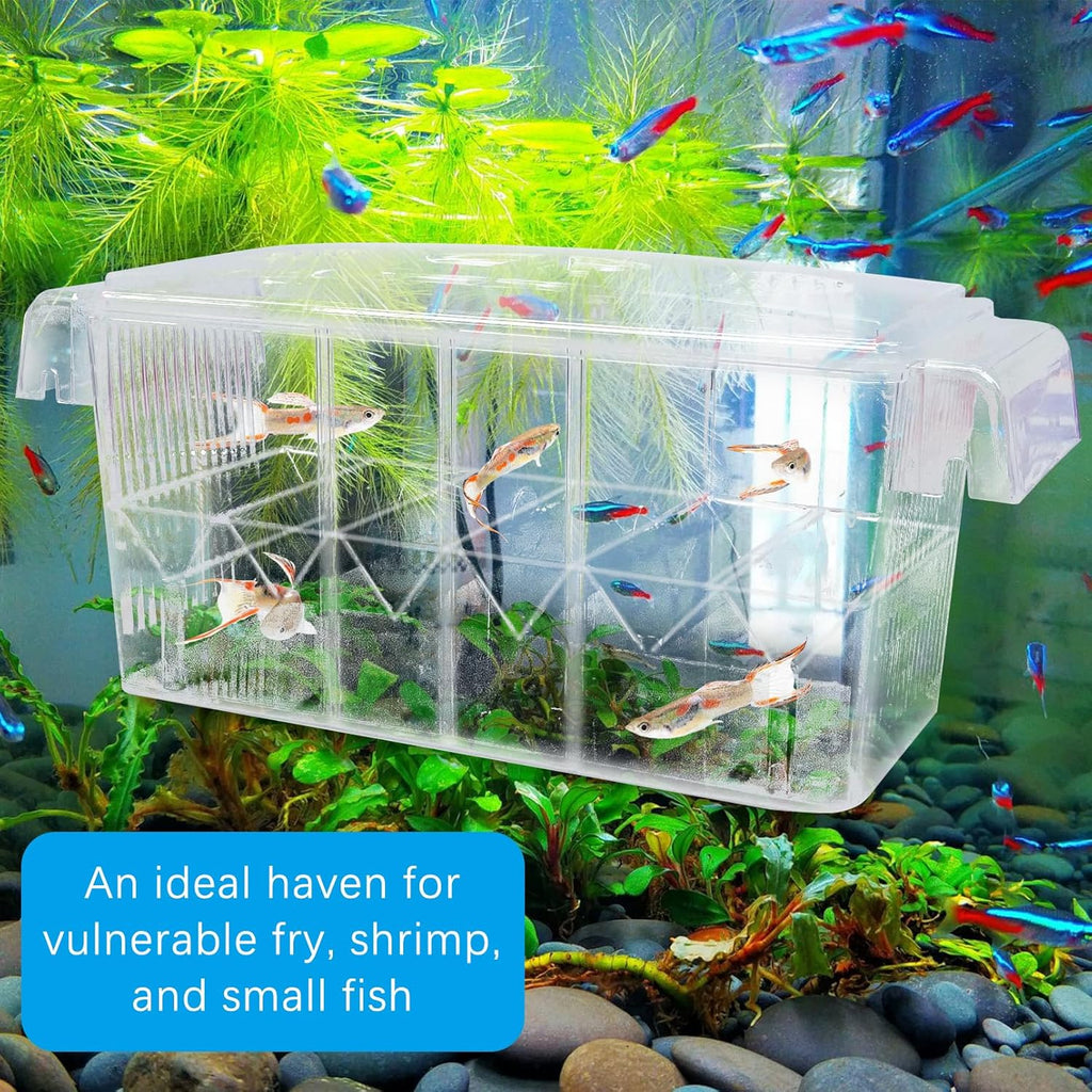 Tfwadmx Fish Breeding Box - 4 Rooms HD Aquarium Breeder with Suction Cups, Baby Hatchery Acrylic Incubator Isolation Box, Artificial Plant for Guppy Hatchery