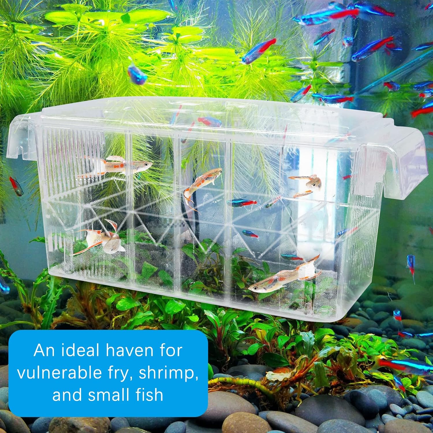 Tfwadmx Fish Breeding Box - 4 Rooms HD Aquarium Breeder with Suction Cups, Baby Hatchery Acrylic Incubator Isolation Box, Artificial Plant for Guppy Hatchery