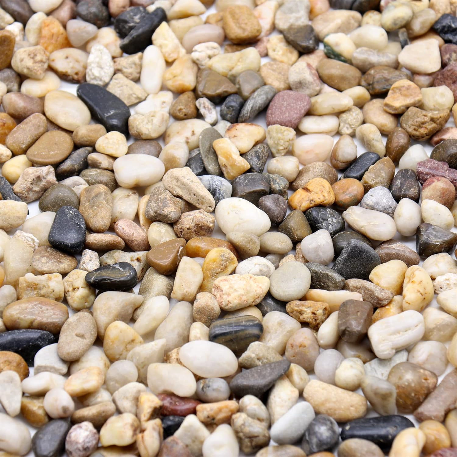 Rocks for Plants. Mixed Color Decorative Pebbles. 1/5 Inch 10 lbs. for Garden, Landscaping, Indoor, Vase fillers, Crafting, Succulents, pots, Plants (Mini, Mixed Color, 10)