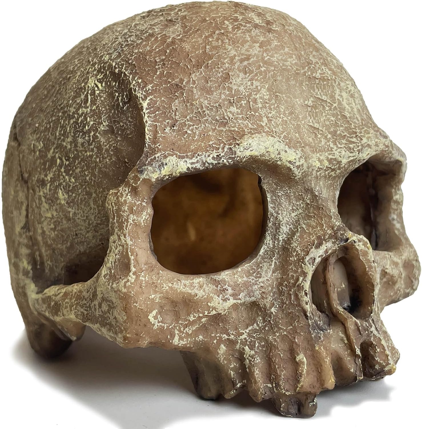 Aquarium Decoration for Fish Tank Skull Head Skeleton Aquarium Ornament Decorative Cave Landscape Aquarium Decor Reptile House Cave Fish Tank Decoration - Small