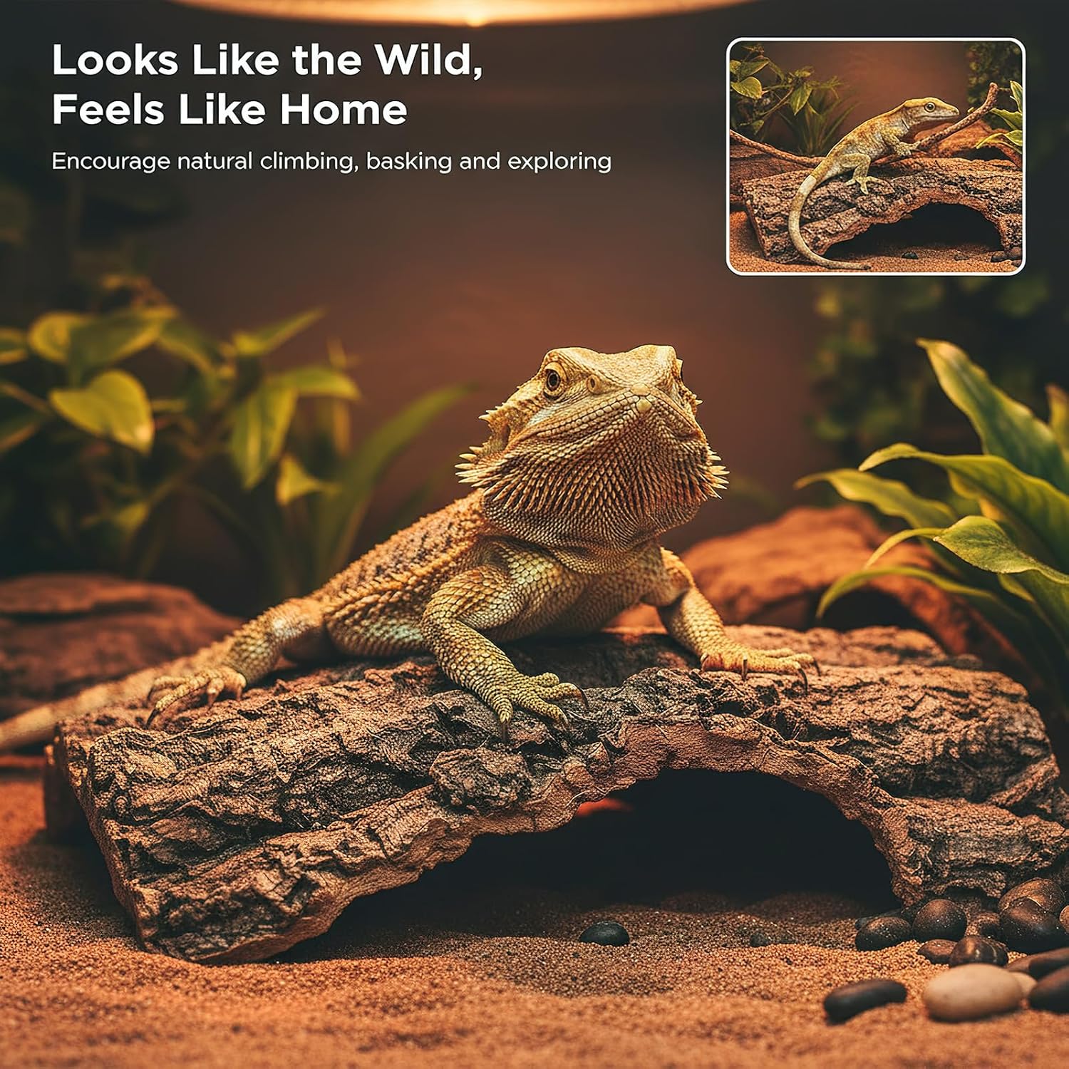 4pcs Reptile Bark Decor Wood, Natural Cork Bark, Bark Cork Hides Water Bark Tube Decor,Reptile Bark Cork Wood Bark Terrarium for Bearded Dragon Lizard Geckos Tortoise Random Shape Random Size Deliver