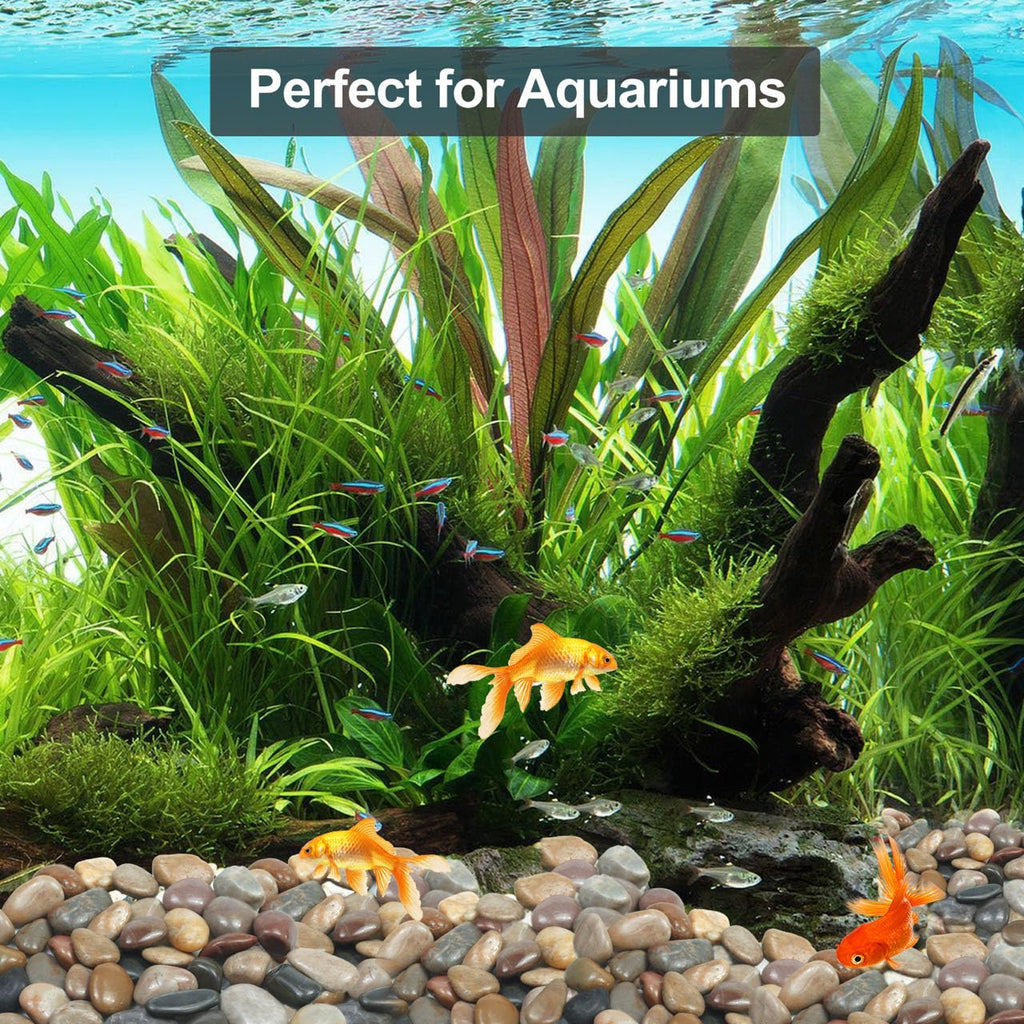 20Ib Rain Forest Mixed River Rocks for Landscaping-Polished Pebbles for Plants-Garden Decorative Stones-1-2 Large Plant Rocks,Ideal for Aquarium, Home Decor