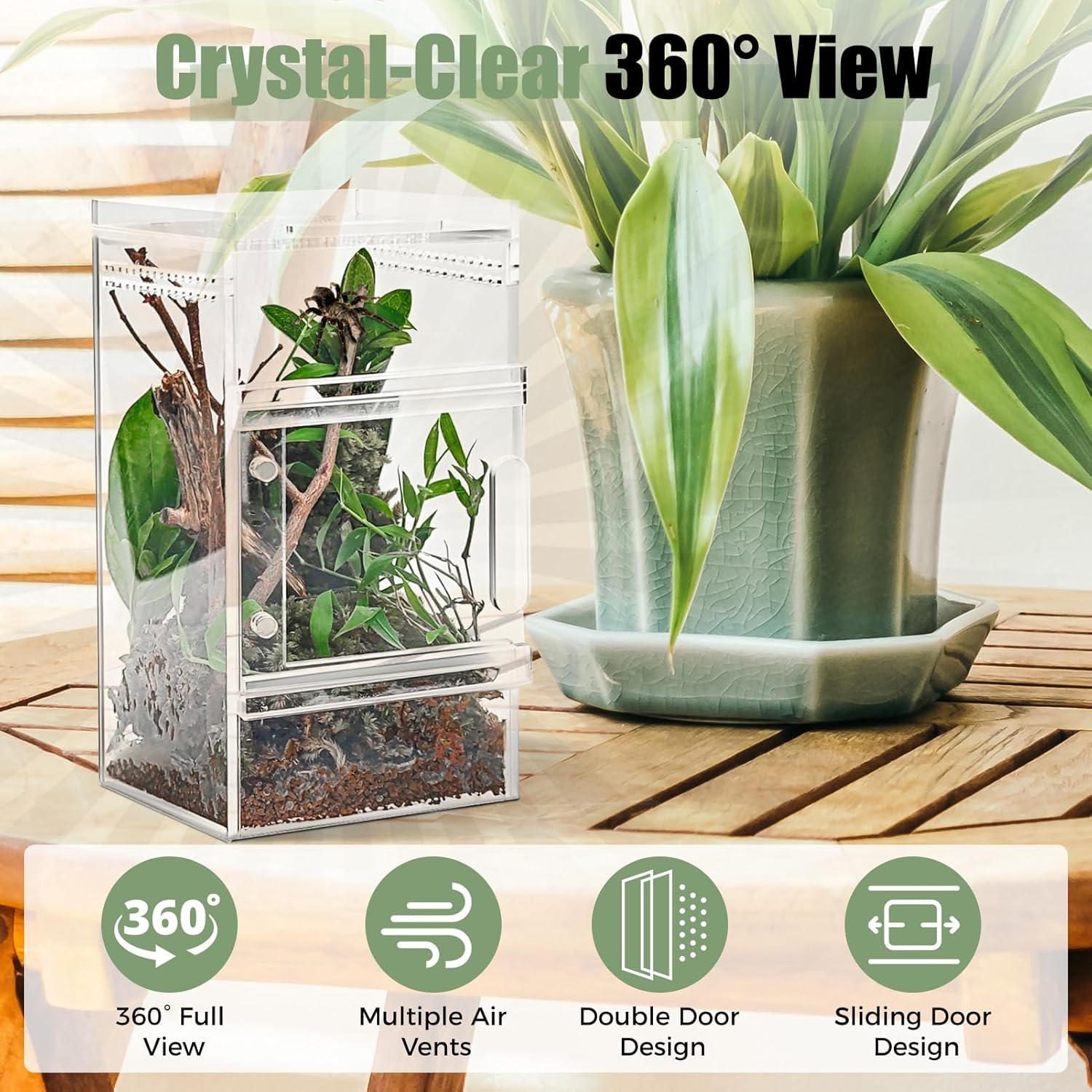 Jumping Spider Enclosure 3x3x6 Inch Acrylic Spider Cage Insect Terrarium Bug Enclosure Tarantula Enclosure Reptile Terrarium for Snail, Mantis, Lizard, and Small Reptiles