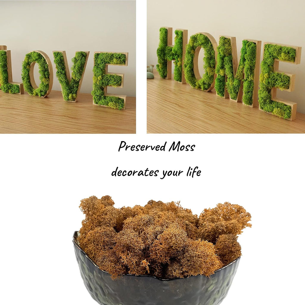 Moss Preserved Artificial Moss 8.8 oz Natural Fresh Green Moss for Craft Arts Floral Project Wall Decor Table Decor Wedding Centerpieces Garden Terrariums Decoration -Brown