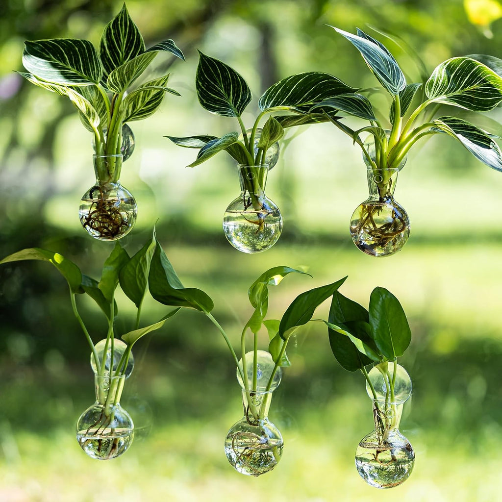 Window Propagation Stations, Bulb Vase with Suckion Cups Hooks, Easy to Install Window Hanging Planter, Glass Terrarium Planters for Water Plant Propagation & Rooting Cuttings (6)