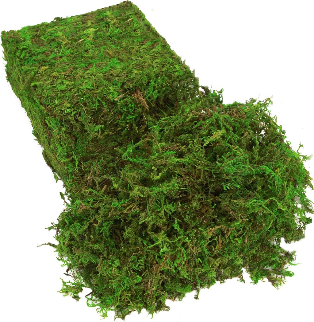 BYHER Fake Moss for Plants Indoor, 16OZ Green Moss for Crafts, Artificial Moss for Faux Plant Fairy Garden Table Centerpieces Wedding Decor,1LBS Fresh Green Craft Moss
