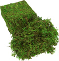 BYHER Fake Moss for Plants Indoor, 16OZ Green Moss for Crafts, Artificial Moss for Faux Plant Fairy Garden Table Centerpieces Wedding Decor,1LBS Fresh Green Craft Moss