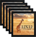 12x12 Picture Frame Set of 5, Black Wooden Frame 12x12 Square Wall Gallery Poster Photo frame with Durable Shatter Resistant Plexiglass,Horizontal and Vertical Formats for Wall Hanging best gift