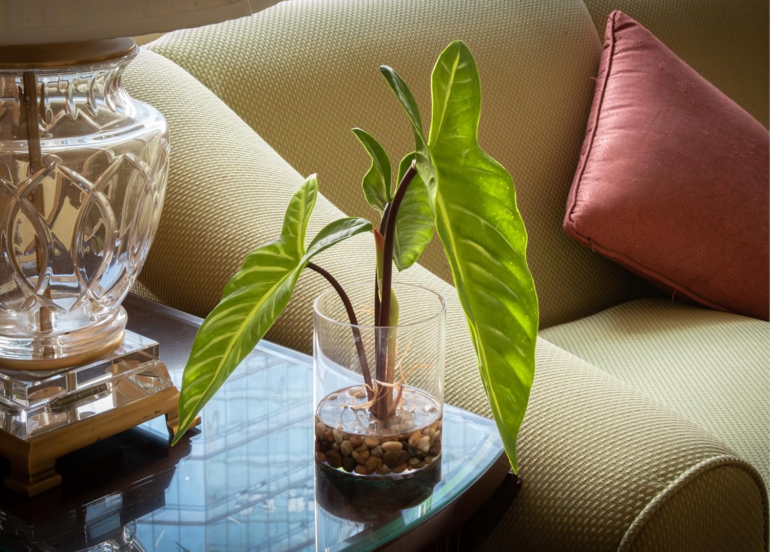 SUNPRAIRIE Realistic Faux Plant in Clear Pot with Artificial Water, Narrow Arrowhead Leaves. Artificial Plants Indoor and Outdoor