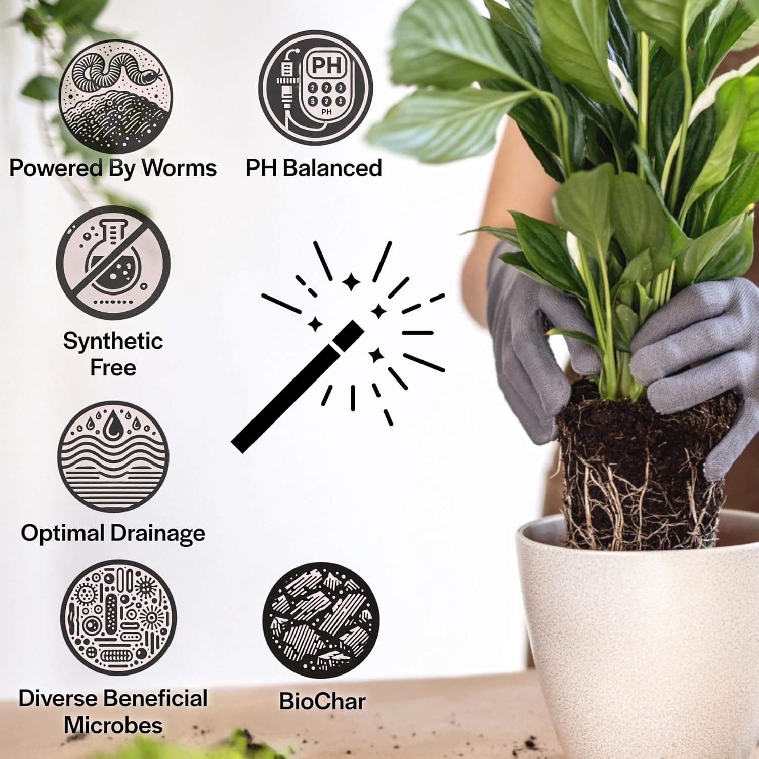 Craft Houseplant Potting Mix, Elite House Plant Soil, Chunky, Well Draining Potting Soil for Indoor Plants, Tropical Plants & Potted Plants, Sustainable & Peat Free, Less Prone to Gnats 4qt