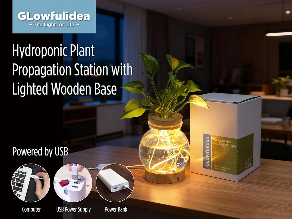 Plant Propagation Station with Lights, Glass Planter Station with Waterproof Lighted Wooden Base, Desktop Hydroponic Plants Terrarium with LED, Round Glass Planter with Light for Home & Office Decor