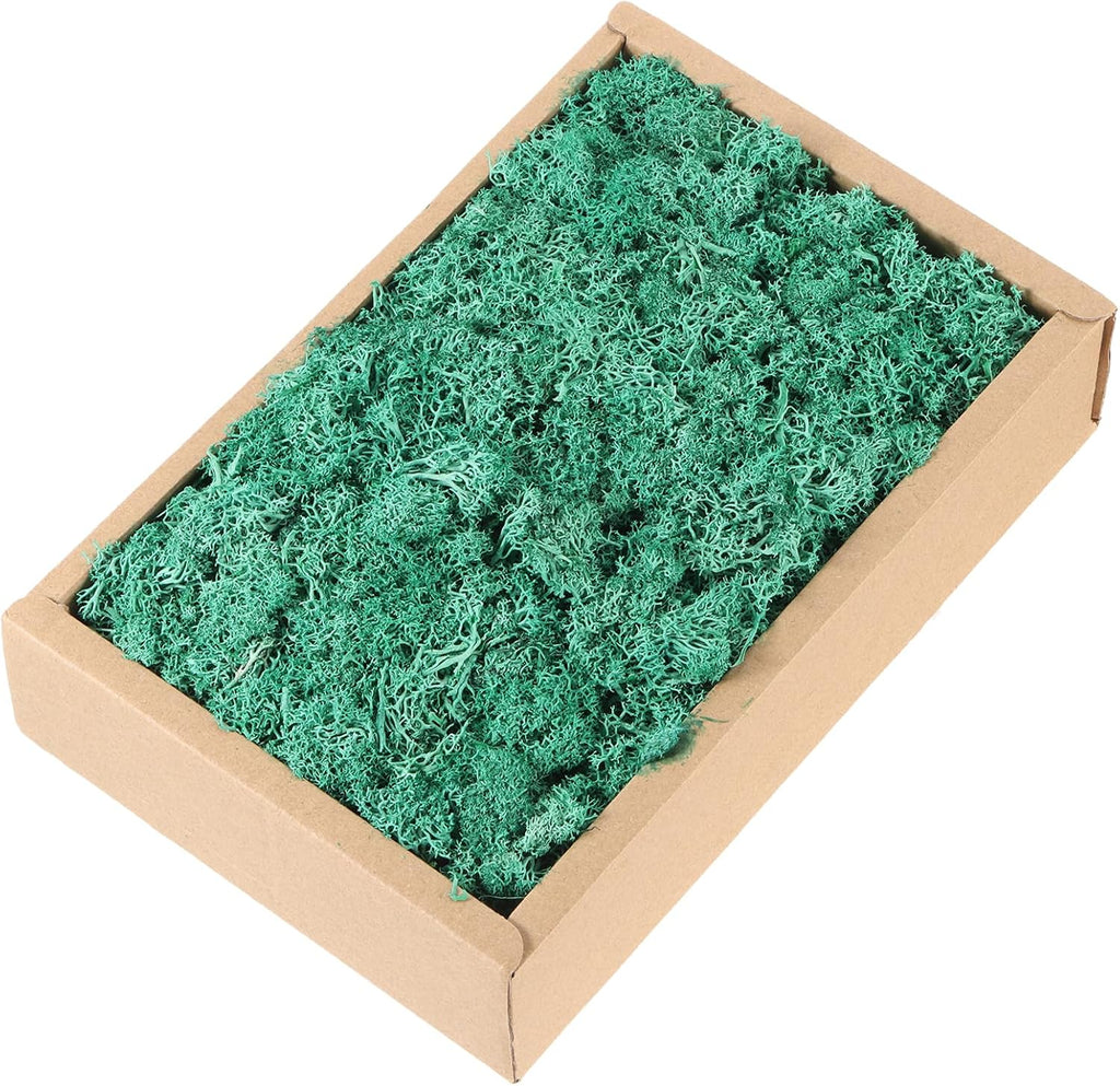 MECCANIXITY 7.8oz Preserved Reindeer Moss, Cyan Decorative Artificial Fake Moss for Potted Plants Indoor Crafts Lichen Centerpieces Decor