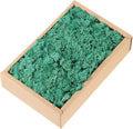 MECCANIXITY 7.8oz Preserved Reindeer Moss, Cyan Decorative Artificial Fake Moss for Potted Plants Indoor Crafts Lichen Centerpieces Decor