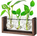 Propagation Station, Plants Terrarium, Plants Lover Gifts for Women,Plant Cutting Holder Home décor,Gifts for Women,House Warming New Home-3 Bulbs-Mounted