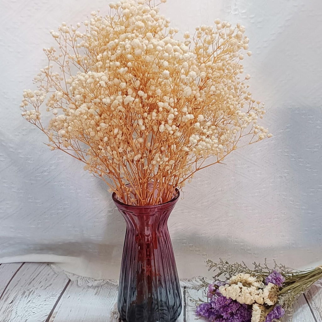 Preserved Baby's Breath, 100% Natrual Gypsophila Long Lasting Flowers for Vase Arrangements Home Decoration Photo Props Parties and Weddings, DIY Décor-White
